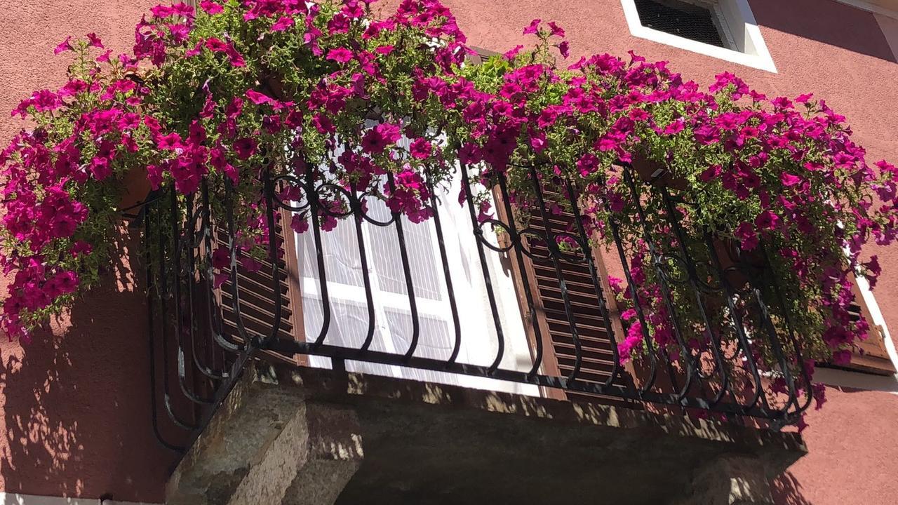 La Casa Del Colonnello *